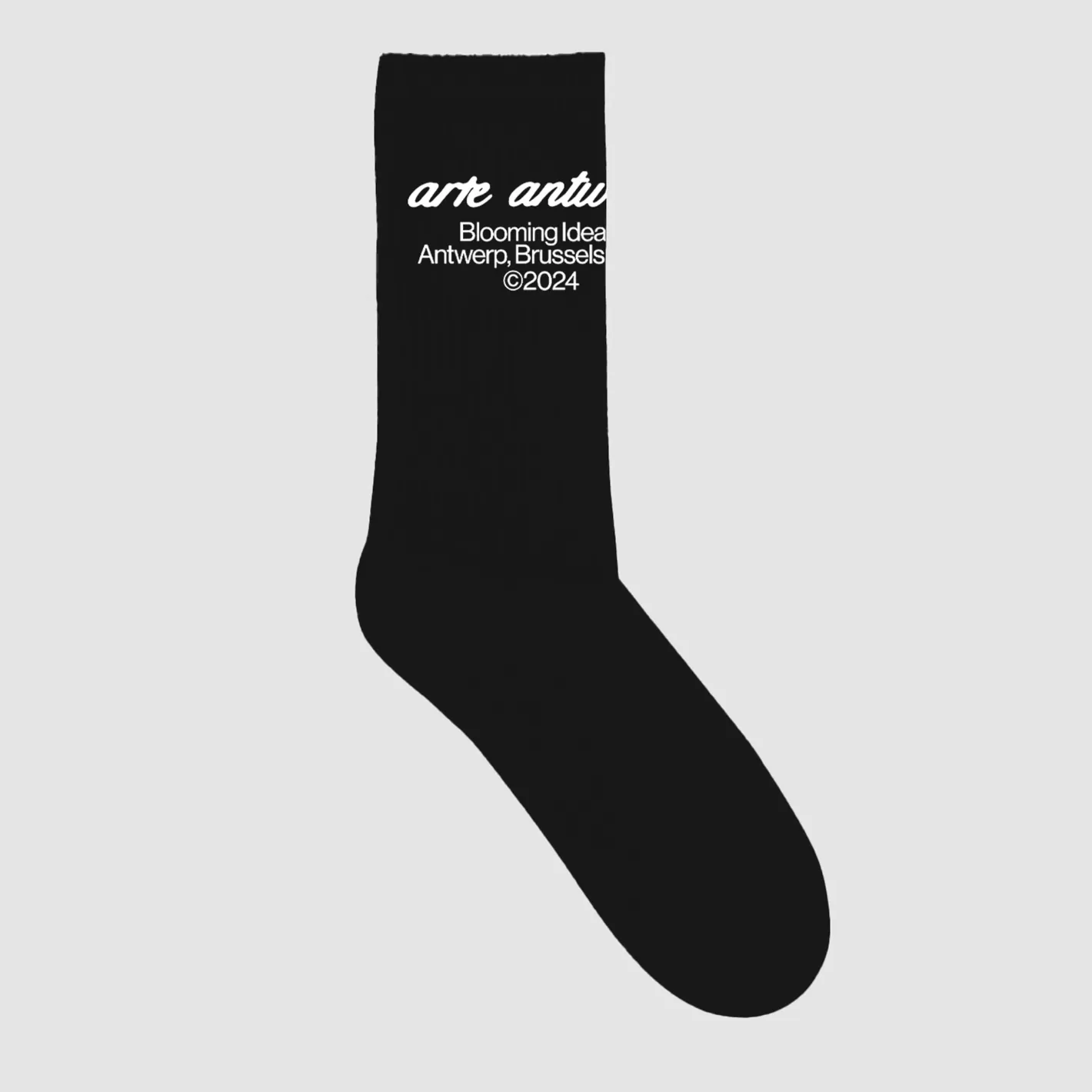 New Socks - Accessories