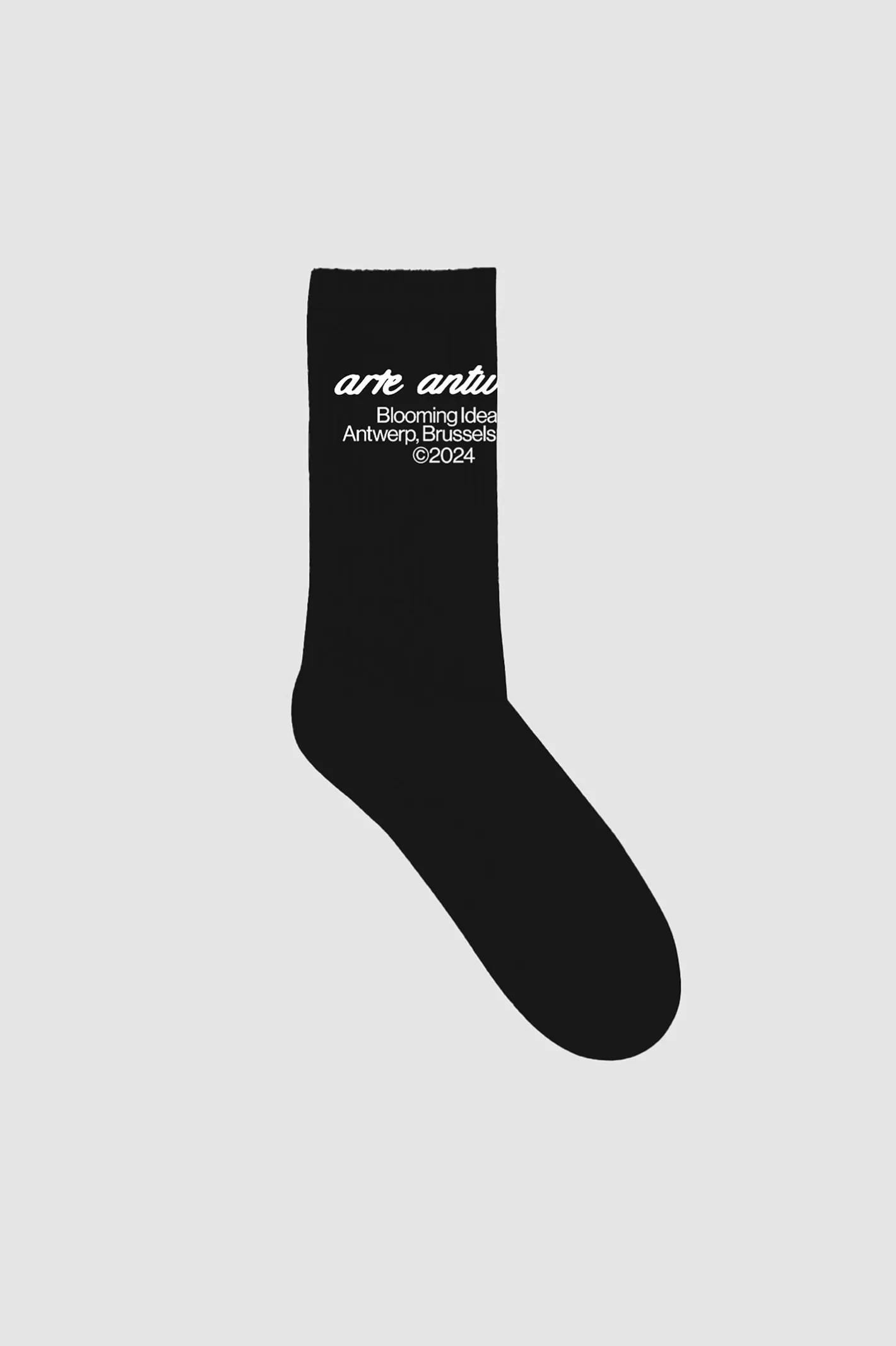 New Socks - Accessories